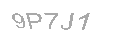 Güvenlik Kodu