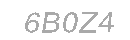 Güvenlik Kodu