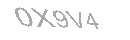 Güvenlik Kodu