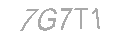 Güvenlik Kodu