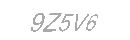 Güvenlik Kodu
