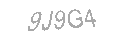 Güvenlik Kodu